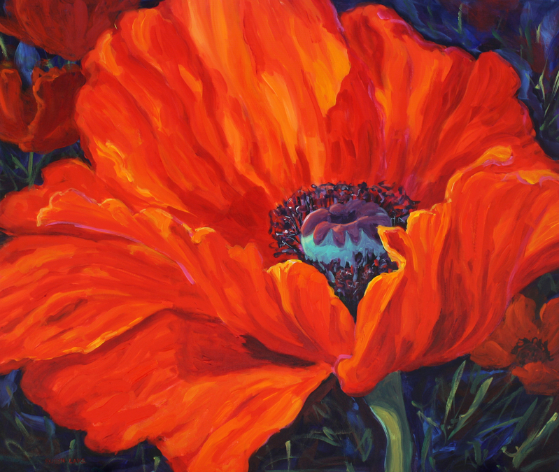 Oriental Poppy