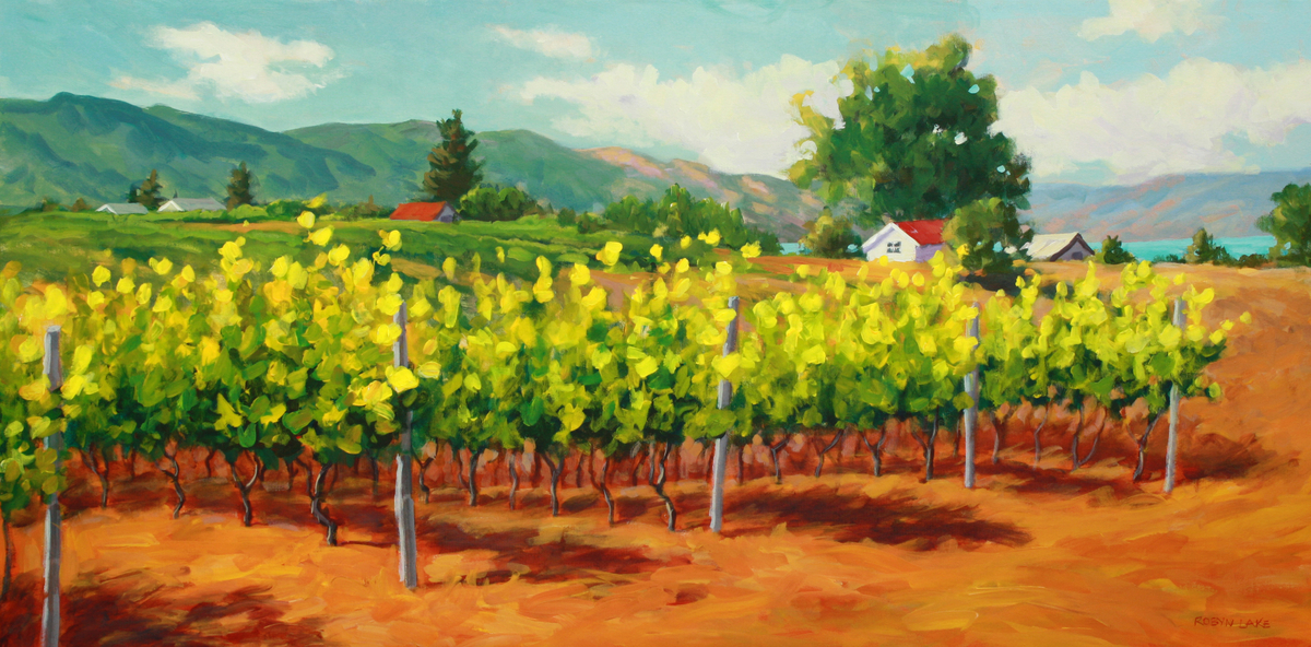 Kelowna Vineyard