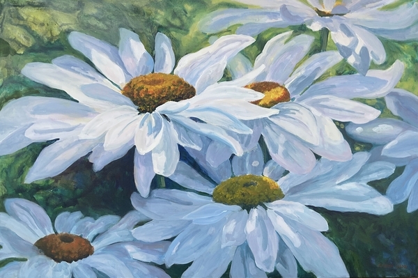 Daisies