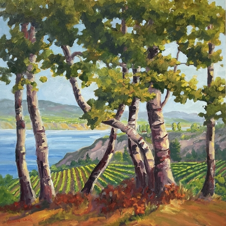 Hidden Vineyard