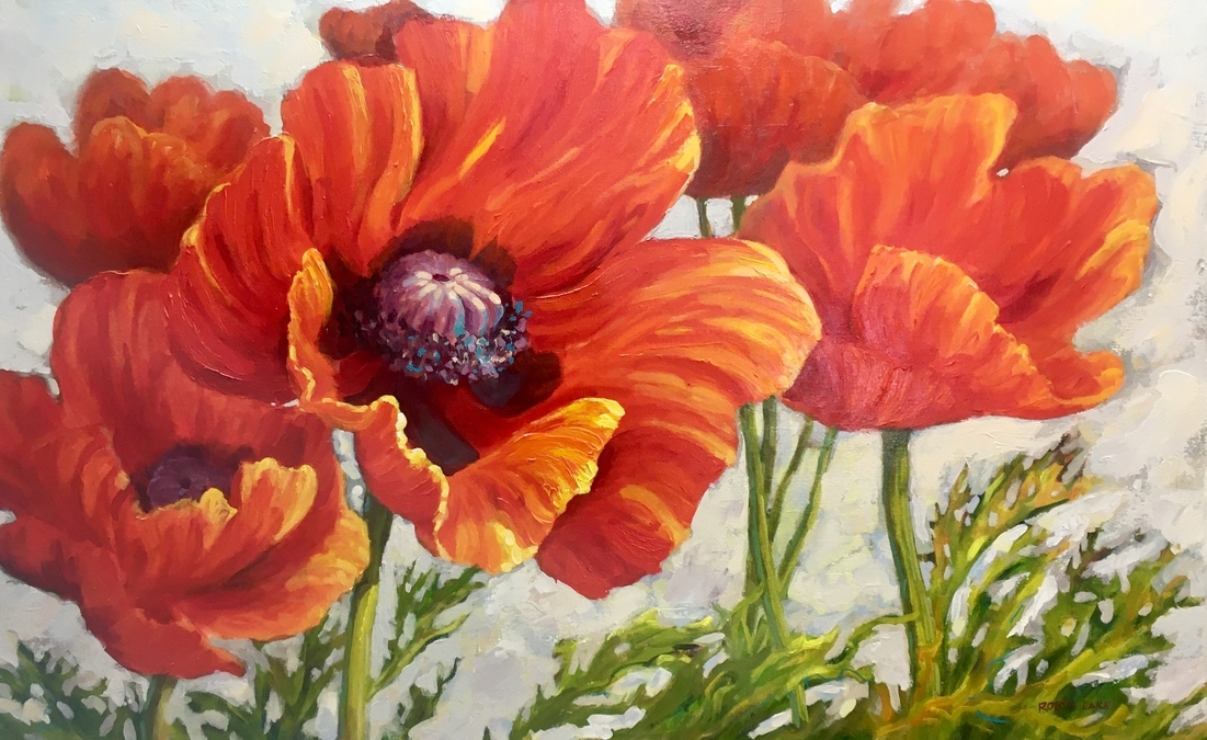 Poppies