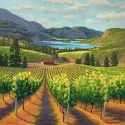 Vineyards Above Vaseaux Lake